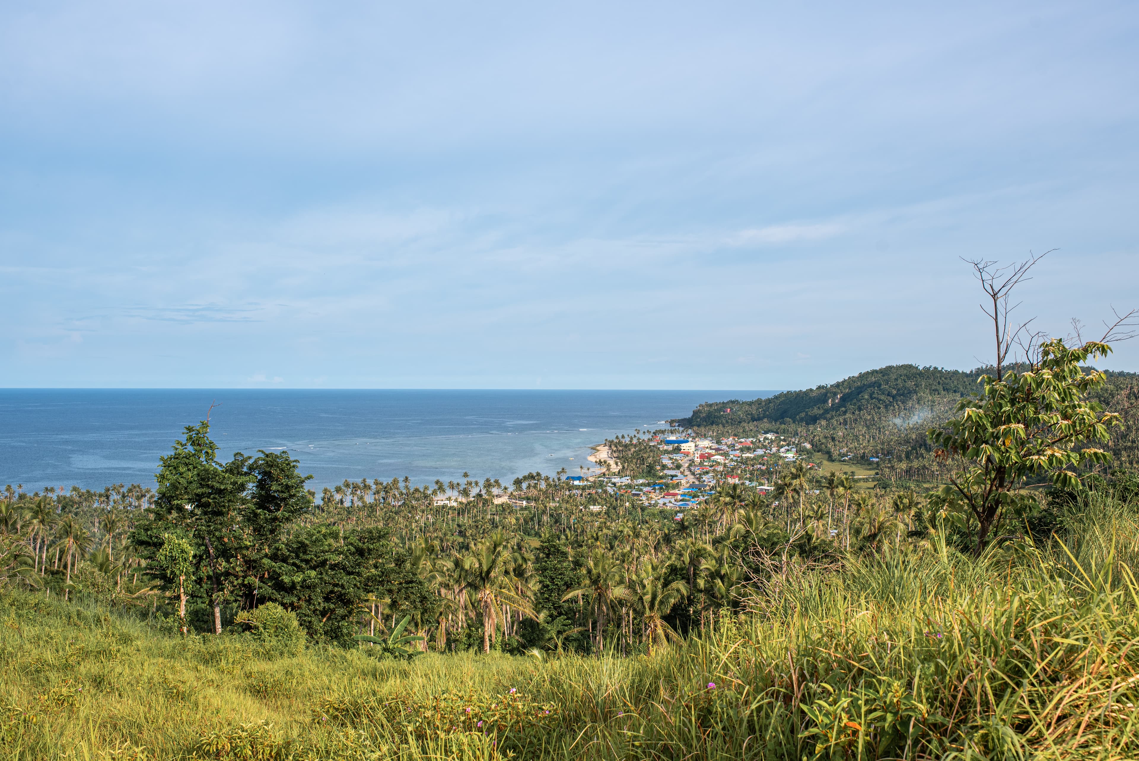 burgos siargao view