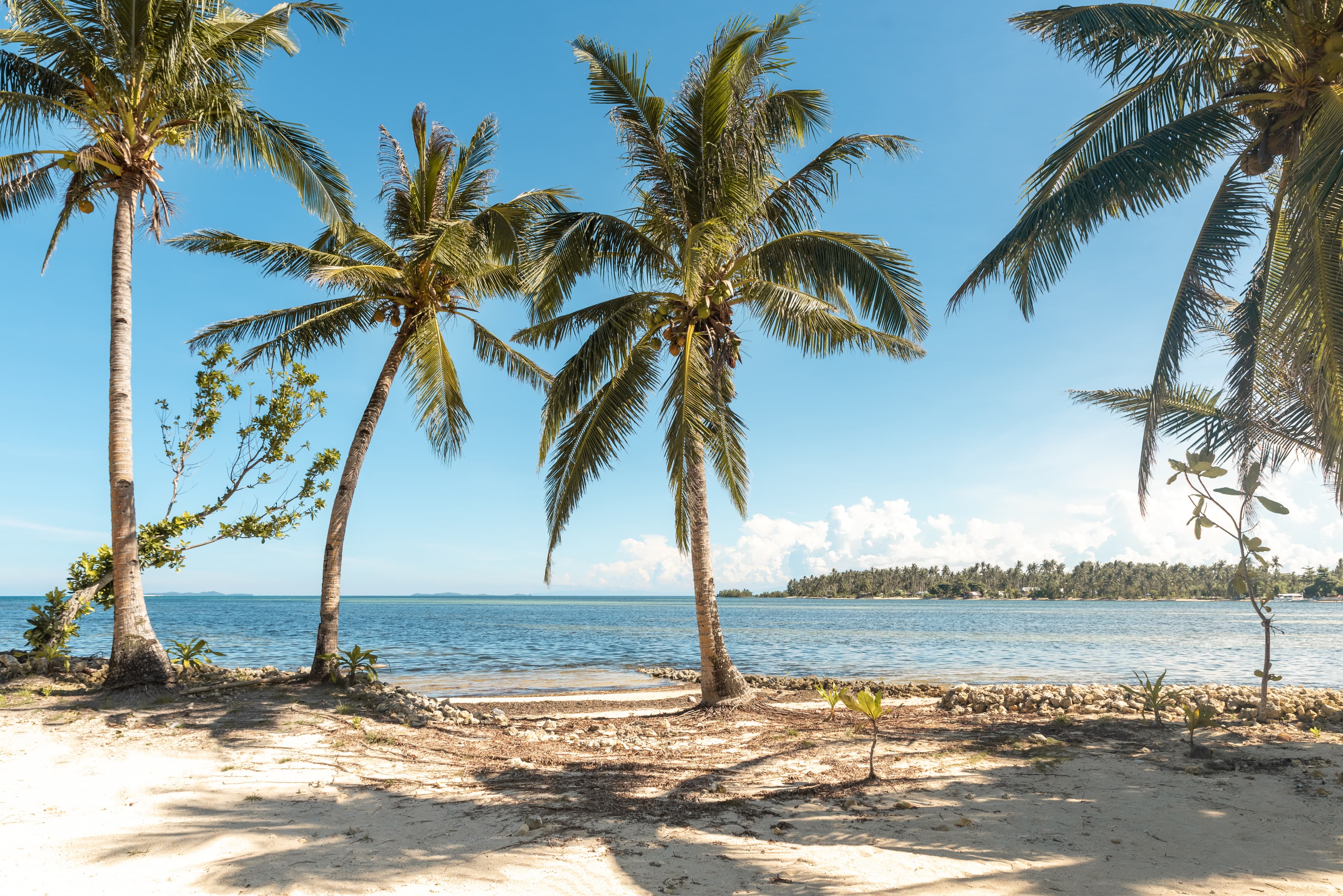 malinao beach