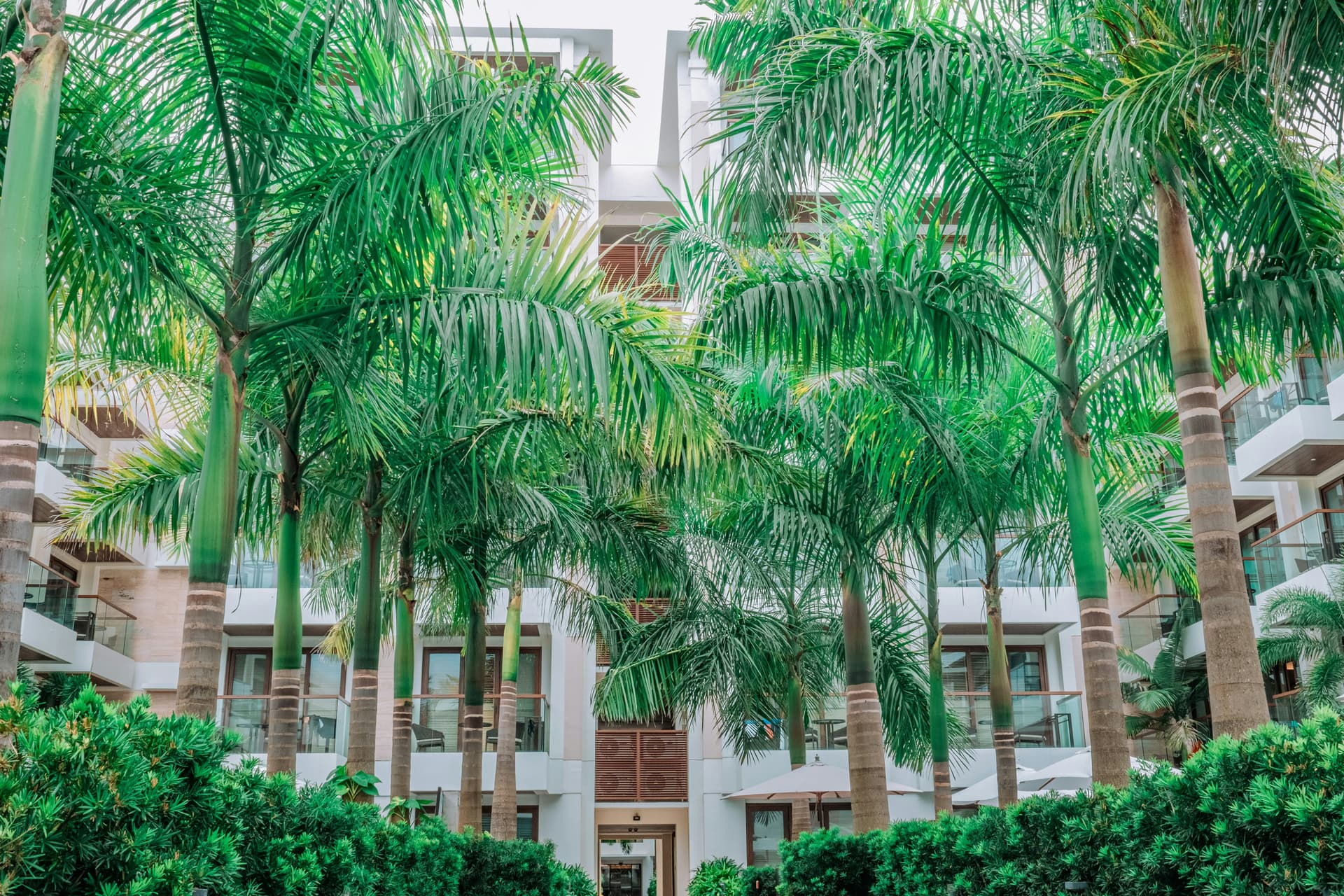 Hiraya tropical island — Hostel in San Isidro