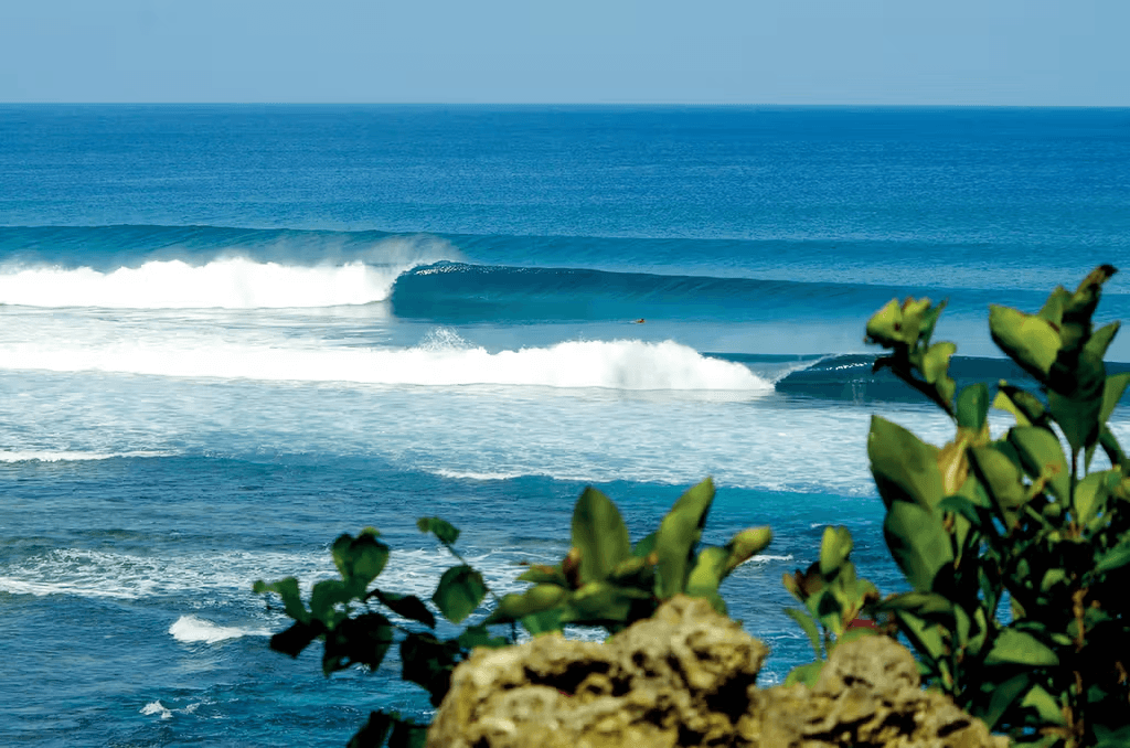 Surfer-paddling-out-pacifico-siargao-perfect-wave-left-hander