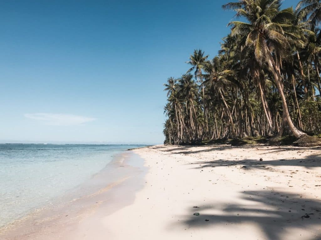 pacifico siargao beach