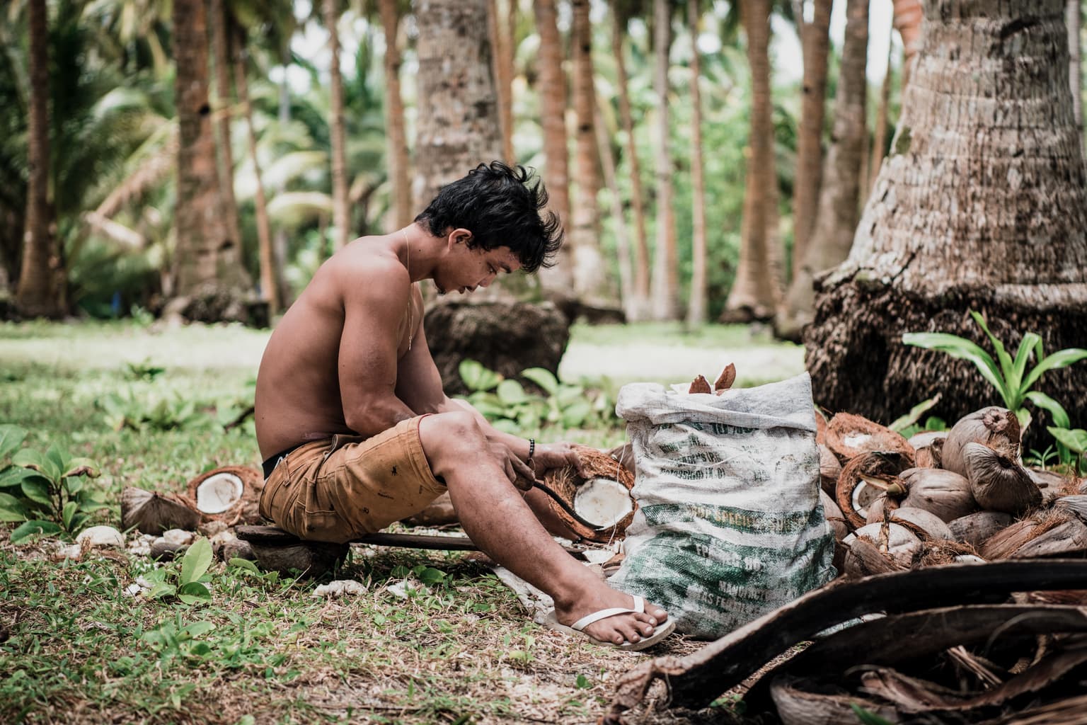 man-grinding-coconuts-siargao-island-philippines